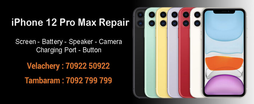 Apple iPhone 12 Pro Max Repair Service